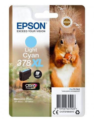 singlepack-ciano-chiaro-xl-378-scoiattolo-c13t37954010-1.jpg