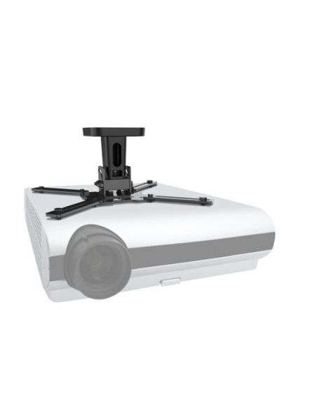 pro-100-supporto-soffitto-videop-480803ba-3.jpg
