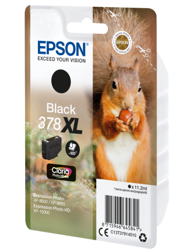 singlepack-black-xl-378-scoiattolo-c13t37914010-2.jpg