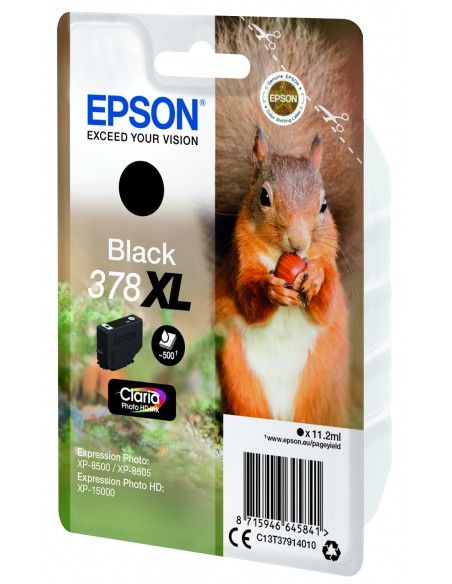 singlepack-black-xl-378-scoiattolo-c13t37914010-3.jpg