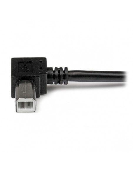 cavo-usb-20-da-a-a-b-2m-usbab2mr-5.jpg