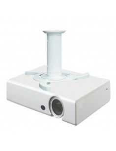 BEAMER C80 BIANCO - BEAMER-C80WHITE