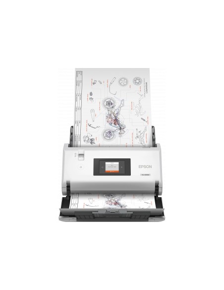 workforce-ds-30000-1.jpg