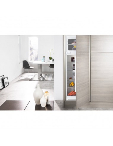 art3671-frigo-inc-2p-280lt-h158-a-statico-11.jpg