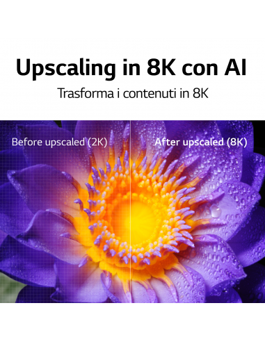 65-nanocell-8k-full-array-dimming-17.jpg