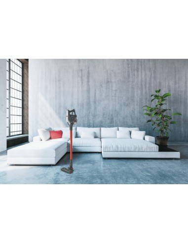 hoover-scopa-hf322afp-011-30.jpg