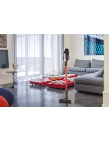scopa-hf222axl-011-3.jpg