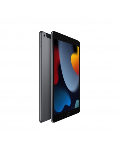 102-inch-ipad-wifi-cellular-64gb-space-grey-2.jpg