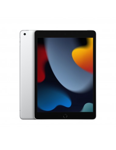 102-inch-ipad-wifi-cellular-64gb-silver-1.jpg