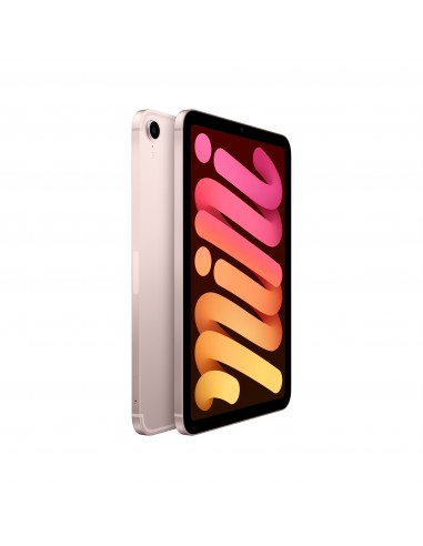 ipad-mini-wi-fi-cellular-256gb-pink-2.jpg