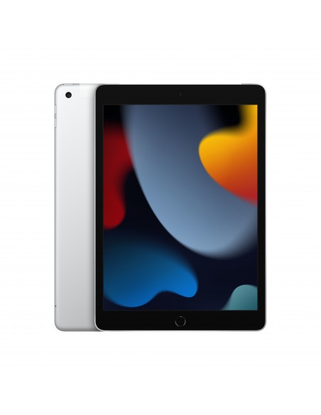 102-inch-ipad-wifi-cellular-256gb-silver-1.jpg
