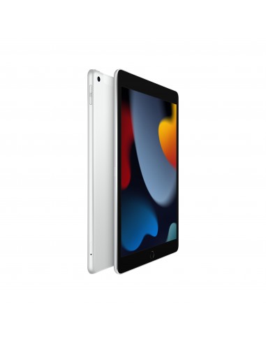 102-inch-ipad-wifi-cellular-256gb-silver-2.jpg