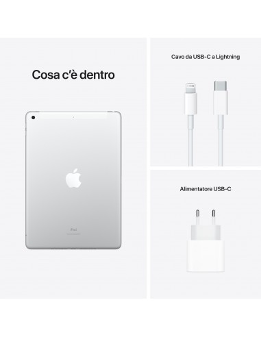 102-inch-ipad-wifi-cellular-256gb-silver-9.jpg