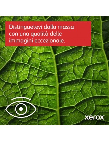 xerox-b230vdni-a4-34-ppm-mono-mfp-11.jpg
