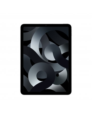 ipad-air-wf-cl-256gb-spg-1.jpg