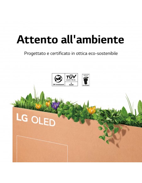 55-oled-serie-a2-9.jpg