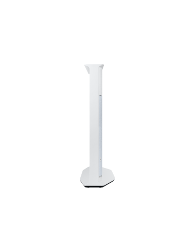 tv-55-poll-serif-2022-blue-3.jpg
