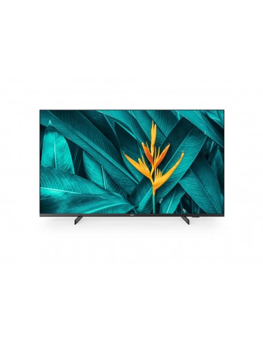 50-mediasuite-4k-iptv-chromecast-1.jpg