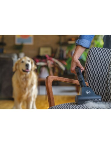 hoover-traino-sacco-h-energy-700-45.jpg