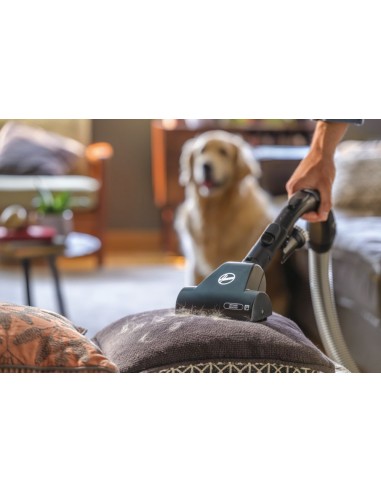 hoover-traino-sacco-h-energy-700-46.jpg