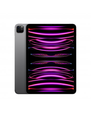ipad-pro-11-wi-fi-cellular-128gb-grigio-sid-1.jpg