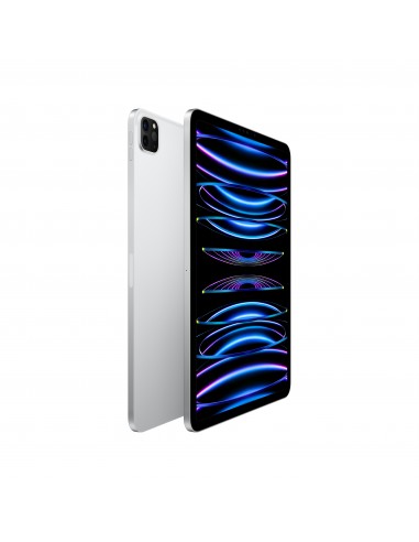 ipad-pro-11-wi-fi-1tb-argento-2.jpg