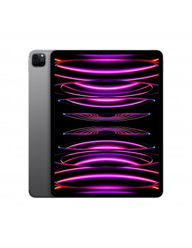 ipad-pro-12-wi-fi-cellular-512gb-grigio-sid-1.jpg