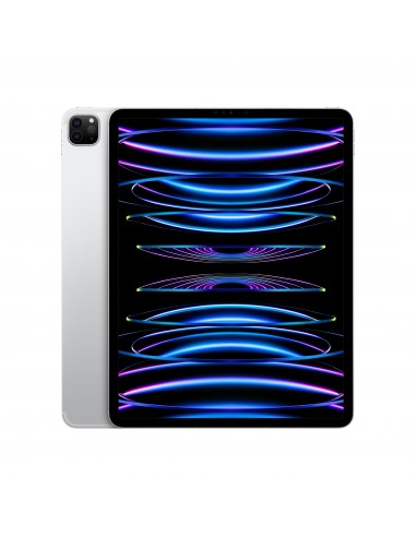 ipad-pro-12-wi-fi-cellular-1tb-argento-1.jpg