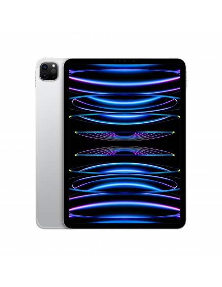 ipad-pro-11-wi-fi-cellular-2tb-argento-1.jpg