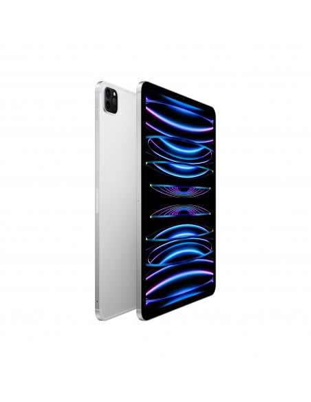 ipad-pro-11-wi-fi-cellular-2tb-argento-2.jpg