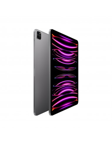 ipad-pro-12-wi-fi-2tb-grigio-siderale-2.jpg