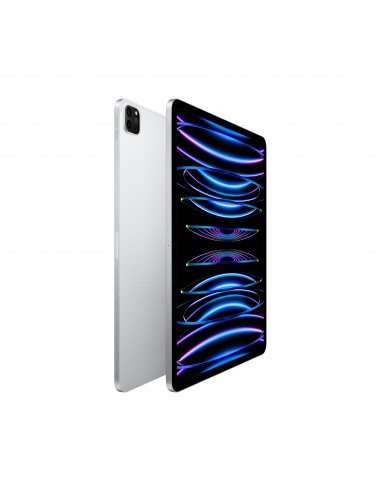 ipad-pro-12-wi-fi-256gb-argento-2.jpg