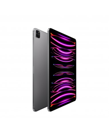 ipad-pro-12-wi-fi-cellular-128gb-grigio-sid-2.jpg
