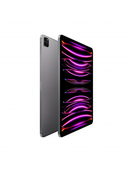 ipad-pro-12-wi-fi-cellular-256gb-grigio-sid-2.jpg