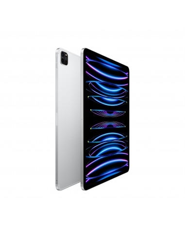 ipad-pro-12-wi-fi-cellular-2tb-argento-2.jpg