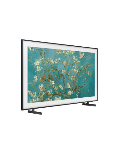 tv-65-poll-frame-serie-2023-17.jpg