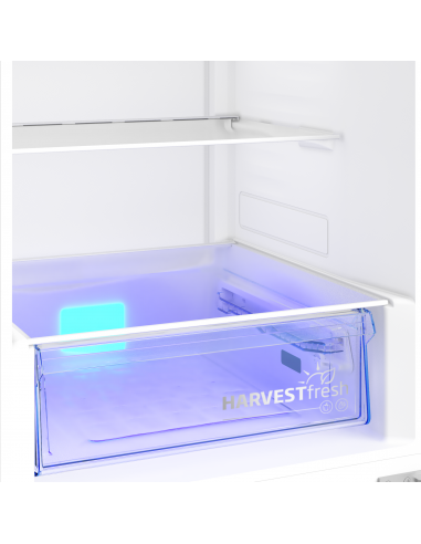 frigo-combi-316lt-h186-nf-silver-c-disp-beyond-4.jpg