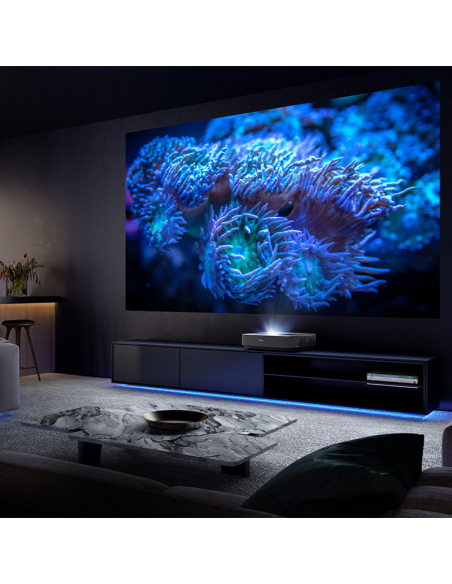 laser-tv-80-120-9.jpg
