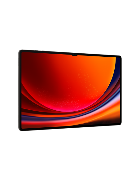 galaxy-tab-s9-ultra-146-12gb-512gb-wifi-graphite-4.jpg