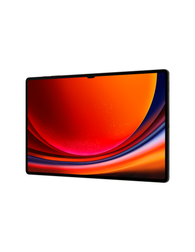 galaxy-tab-s9-ultra-146-12gb-512gb-wifi-graphite-5.jpg