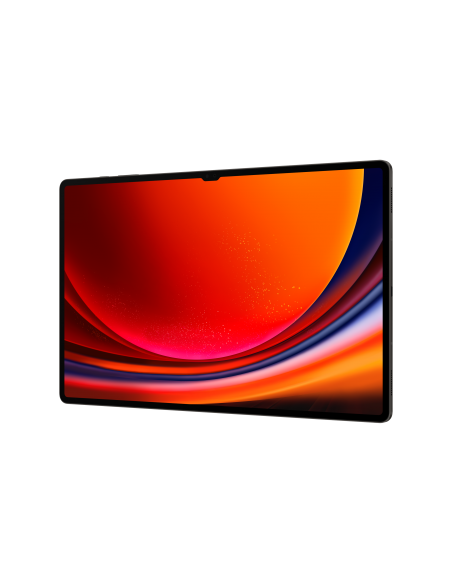 galaxy-tab-s9-ultra-146-12gb-512gb-wifi-graphite-5.jpg