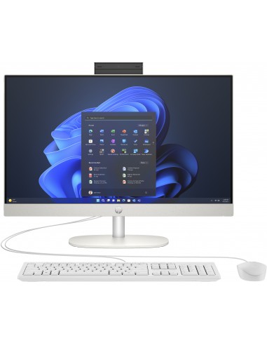 hp-pc-aio-238-proone-240-g10-i3-n300-8gb-256gb-ssd-win-11-pro-garanzia-3anni-onsite-1.jpg