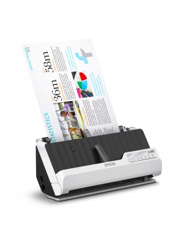 ds-c490-4.jpg