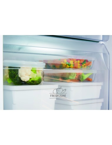 frigo-inc-combi-273lt-h177-traino-4.jpg