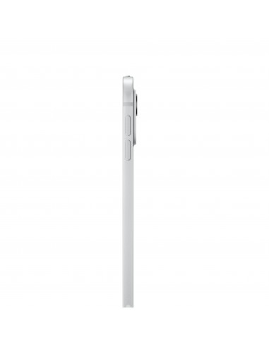 ipad-pro-11-wifi-2tb-silver-nt-2.jpg
