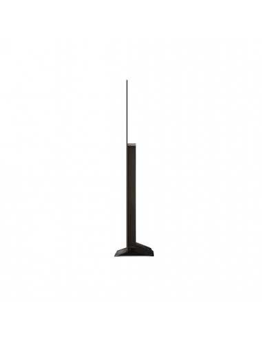 55-oled-evo-c4-4k-uhd-webos24-basec-12.jpg