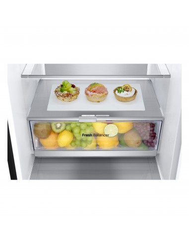 lg-frigo-gbv7280cev-neroc-h-p-l203x675x595inverternofrost387ltmetal-fresh-18.jpg