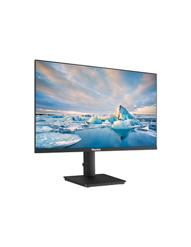 monitor-238-ips-100hzaudiohdmivgadp-regolabile-5.jpg