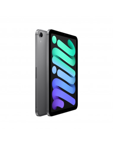 ipad-mini-wi-fi-cellular-256gb-space-grey-3.jpg