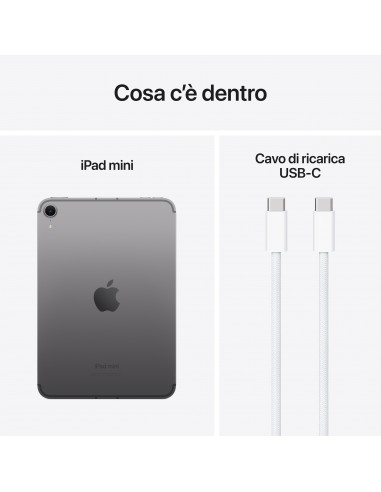 ipad-mini-wi-fi-cellular-256gb-space-grey-10.jpg